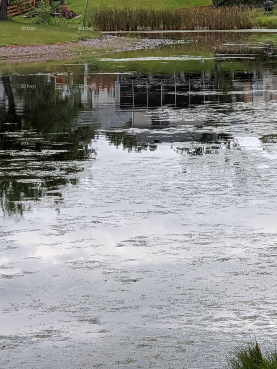 Reflecting on the pond