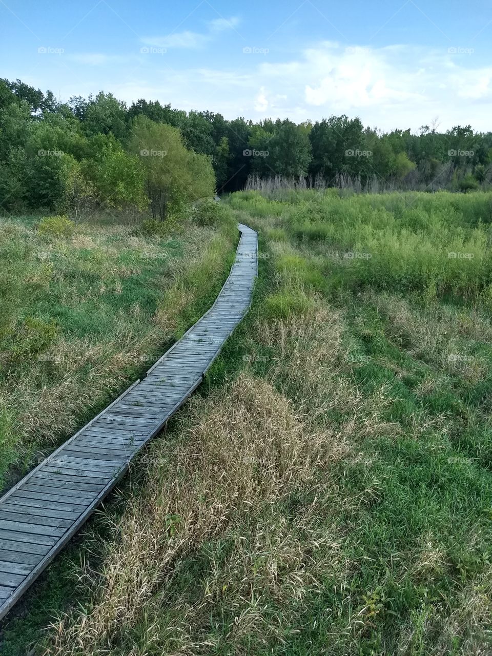 pathway of hiking, North Missouri