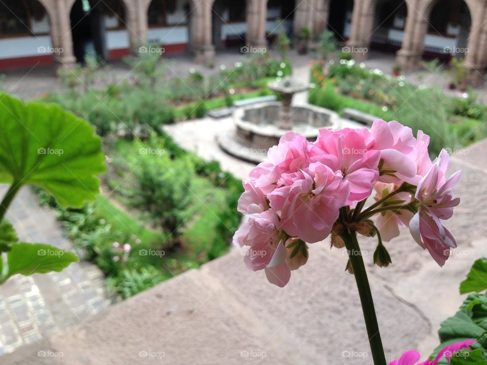 Flowers in Focus. Flowers and a fountain found in a courtyard somewhere in Cusco, Peru