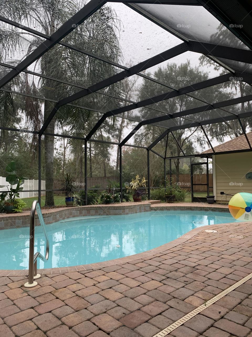 Florida enclosure with tall palm tree and floating beach ball in pool