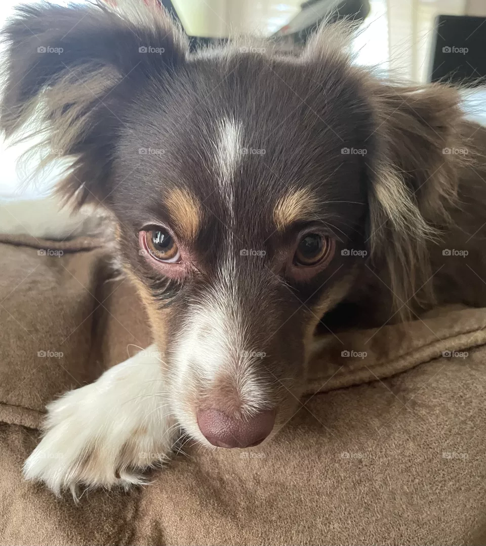 Who me???