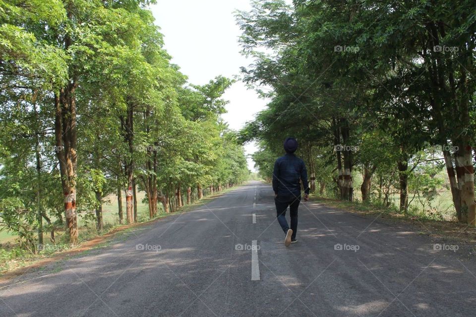 Road through forest