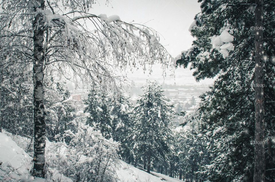 Winter landscape, Velingrad, Bulgaria