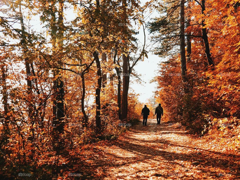 Two friends enjoying a hike deep in a forest touched by the beautiful colors of autumn