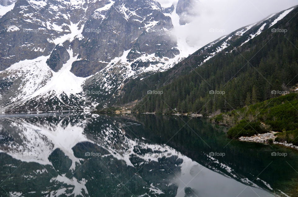 Rocky mountains and tree reflected on lake