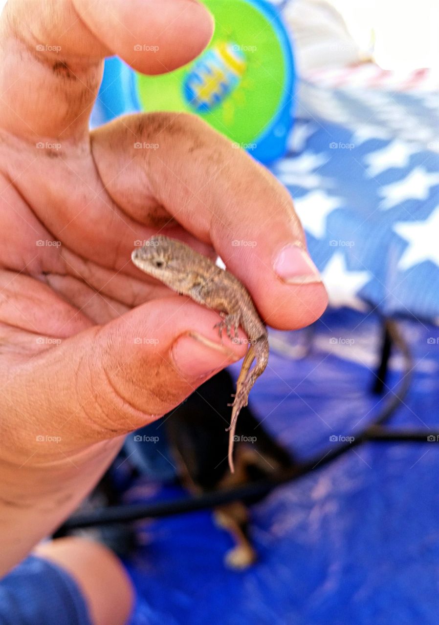 Little Boy finds Little Lizard!