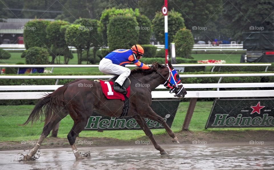 Caixa Eletronica. The warrior and million dollar earner  Caixa Eletronica winning in the slop at Saratoga with John Velasquez. 
Fleetphoto