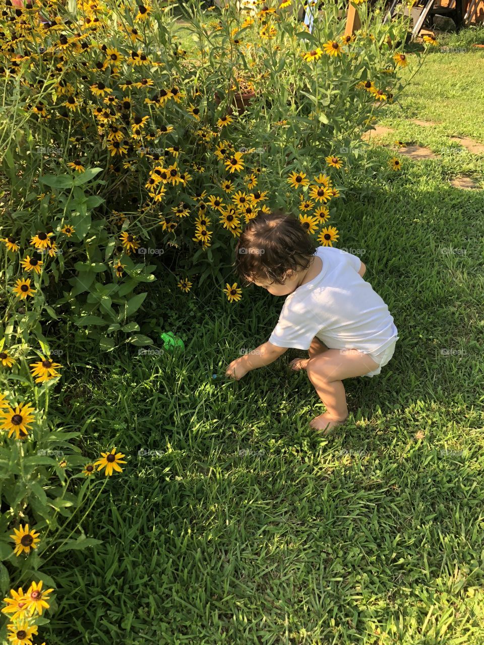 Baby boy at the garden all abloom bending to pick up his little toy. 