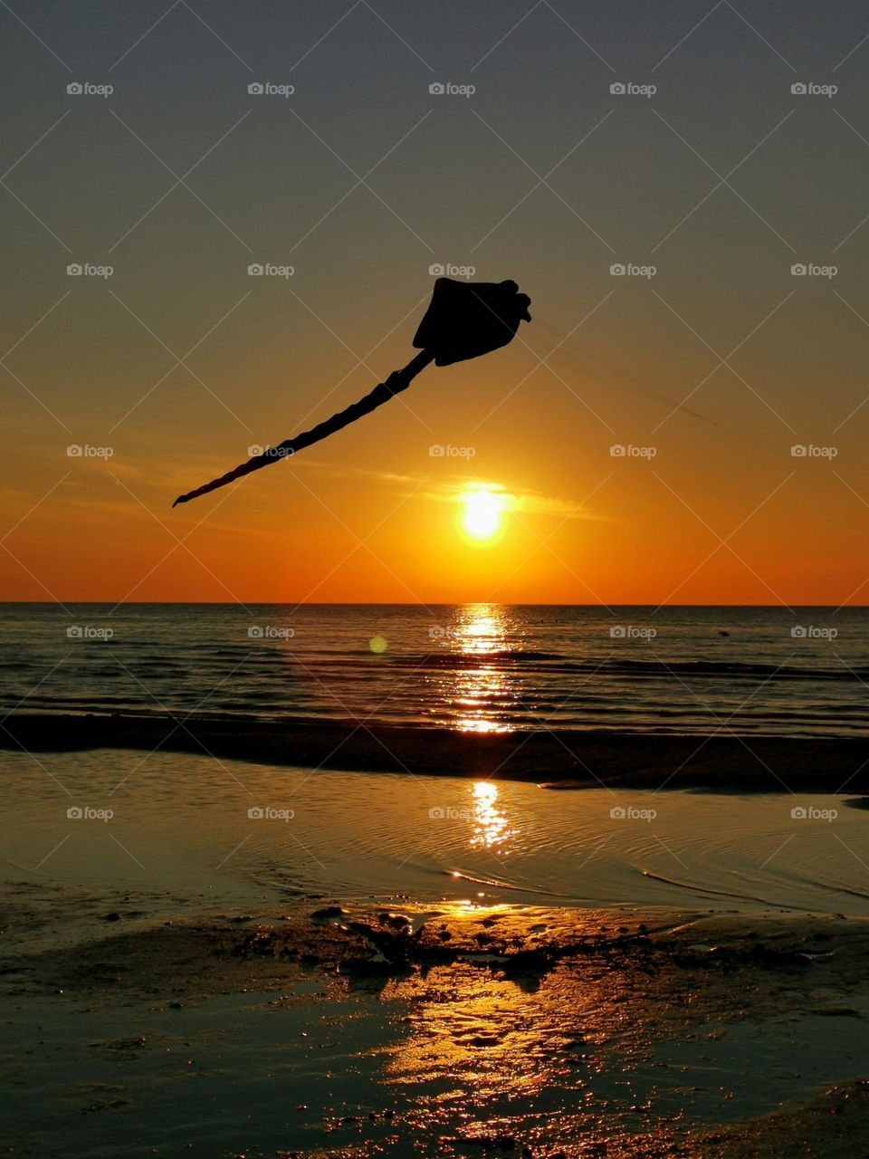 Beautiful sunset, sea, flying kite.