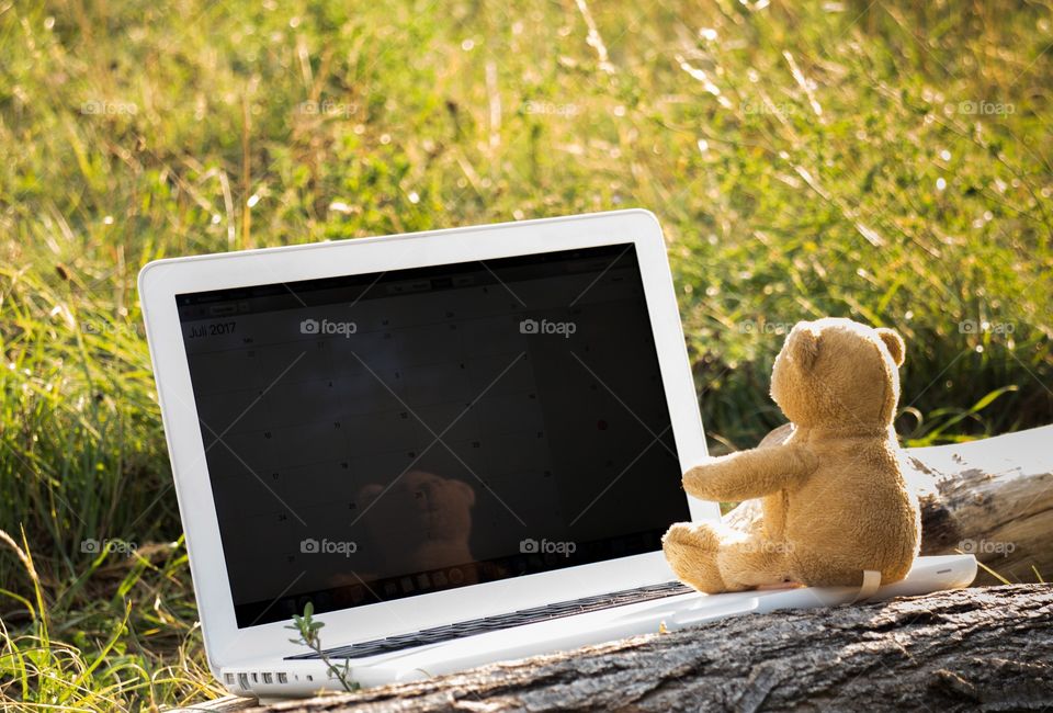 Teddy Bear sitting on a notebook 