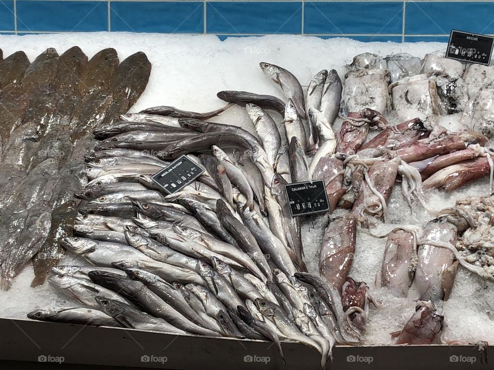 Fish market Morocco 