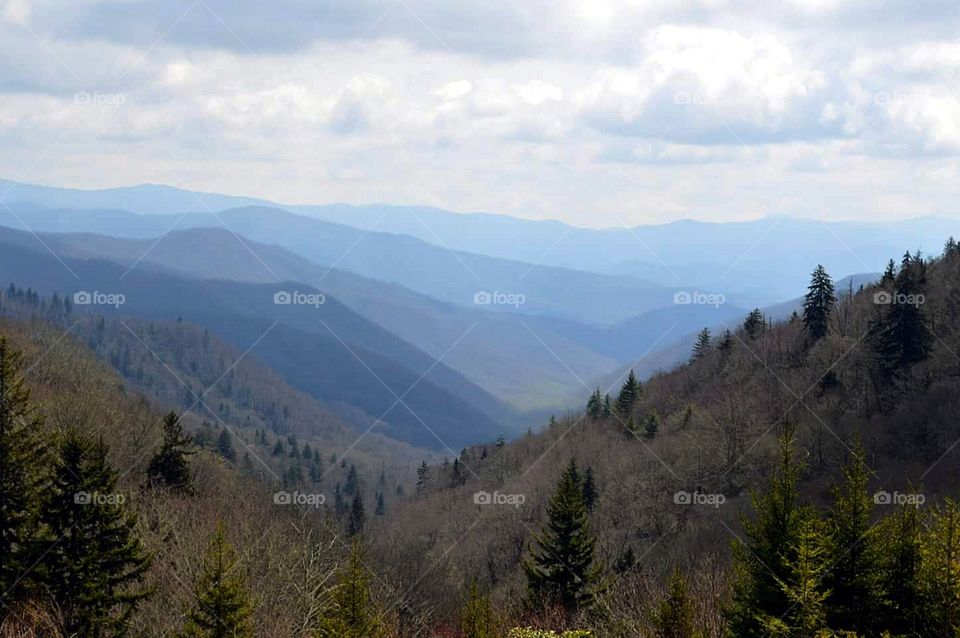 Smoky Mountains