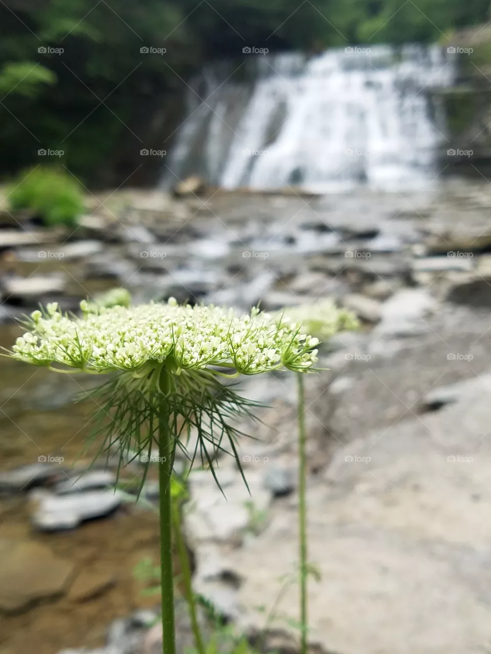 waterfall