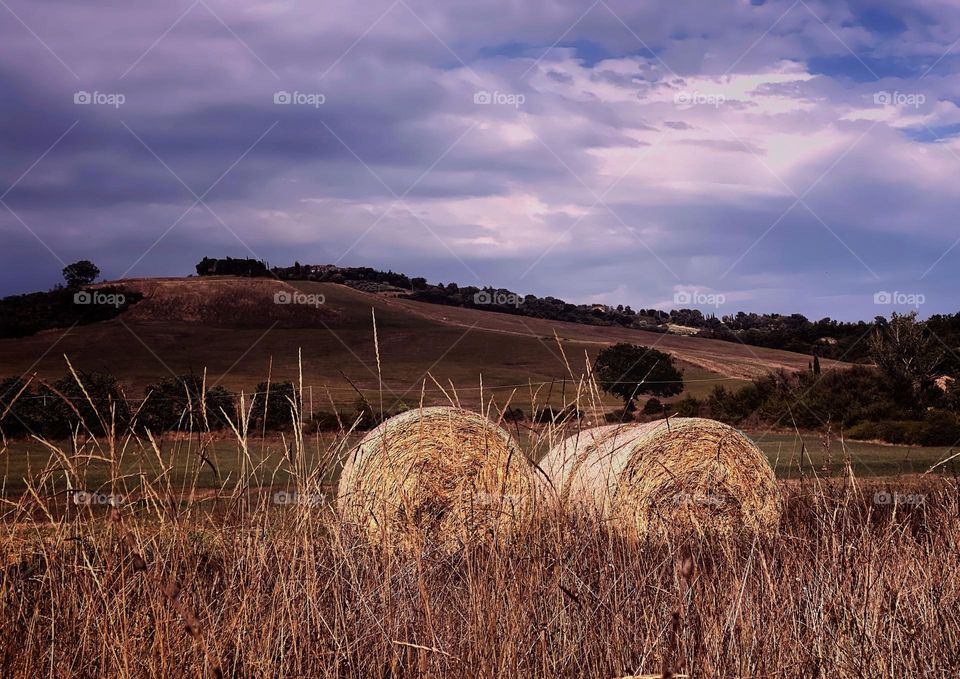 Landscape in Toscana 