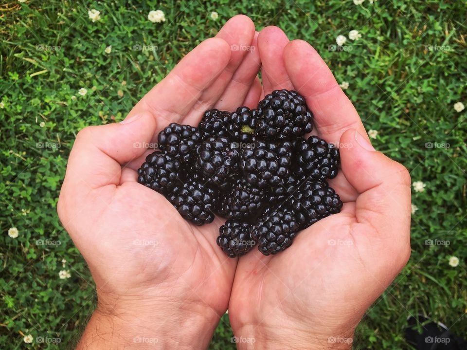 A person holding blackberry in hand