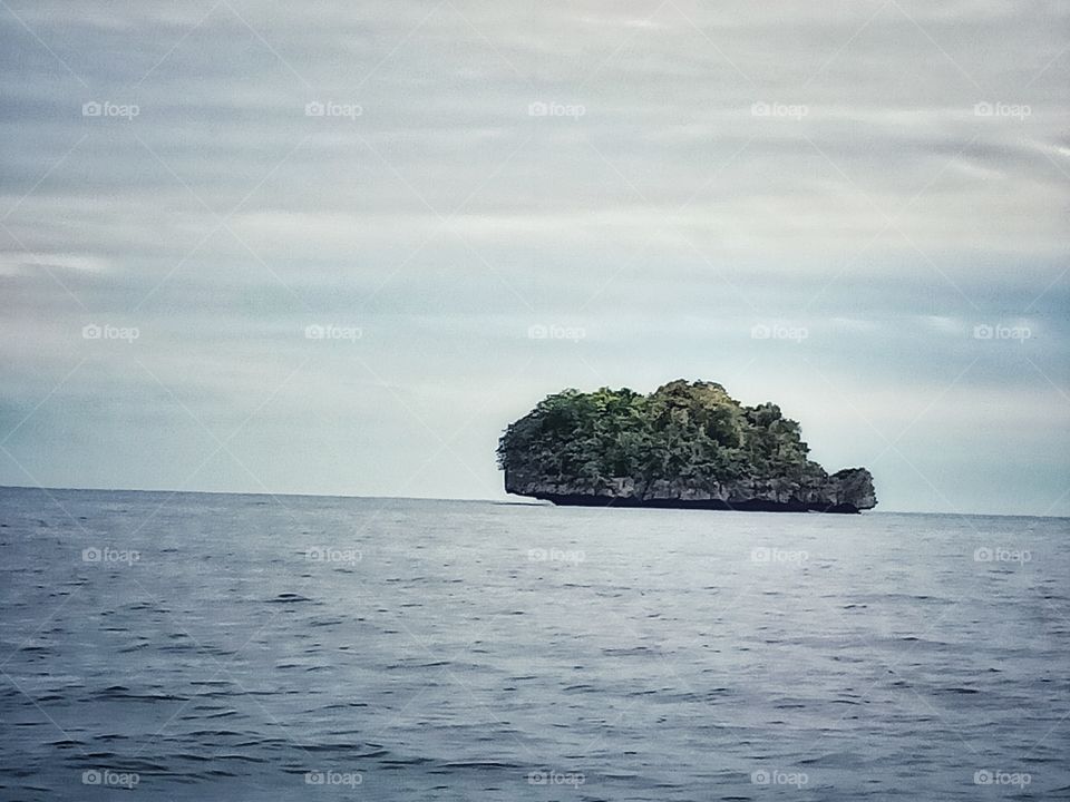 Turtle Island 🐢