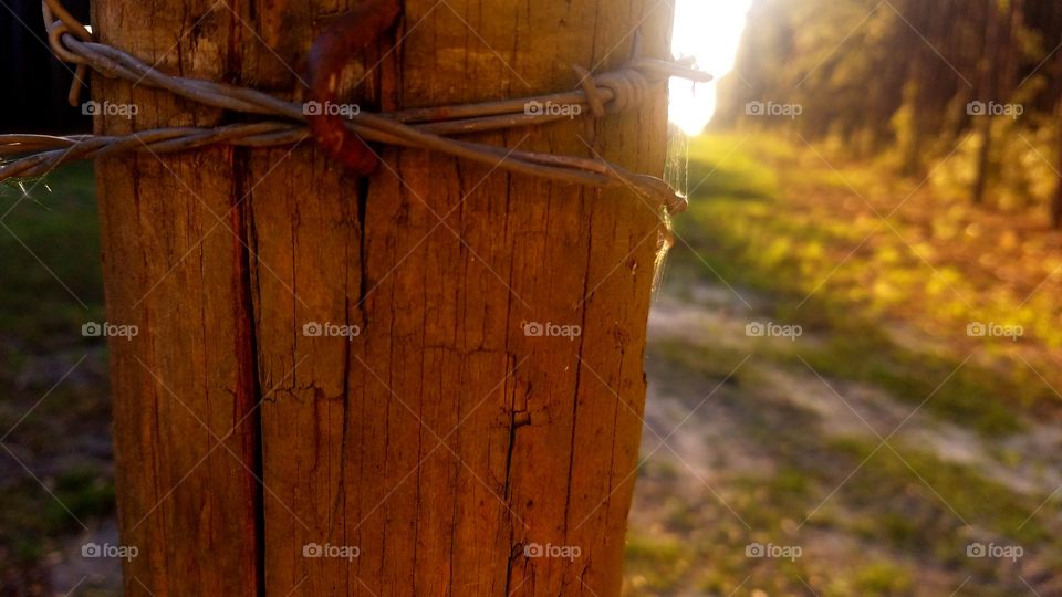 No Person, Wood, Outdoors, Rustic, Old