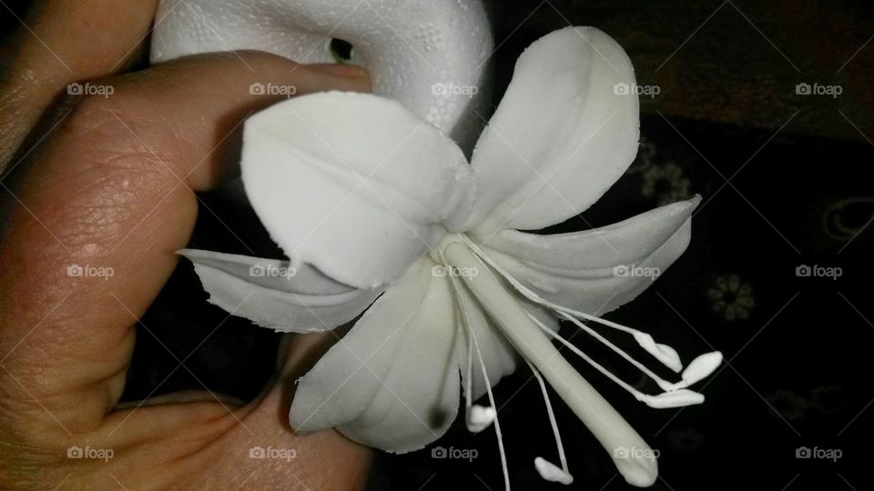 sugar craft flower