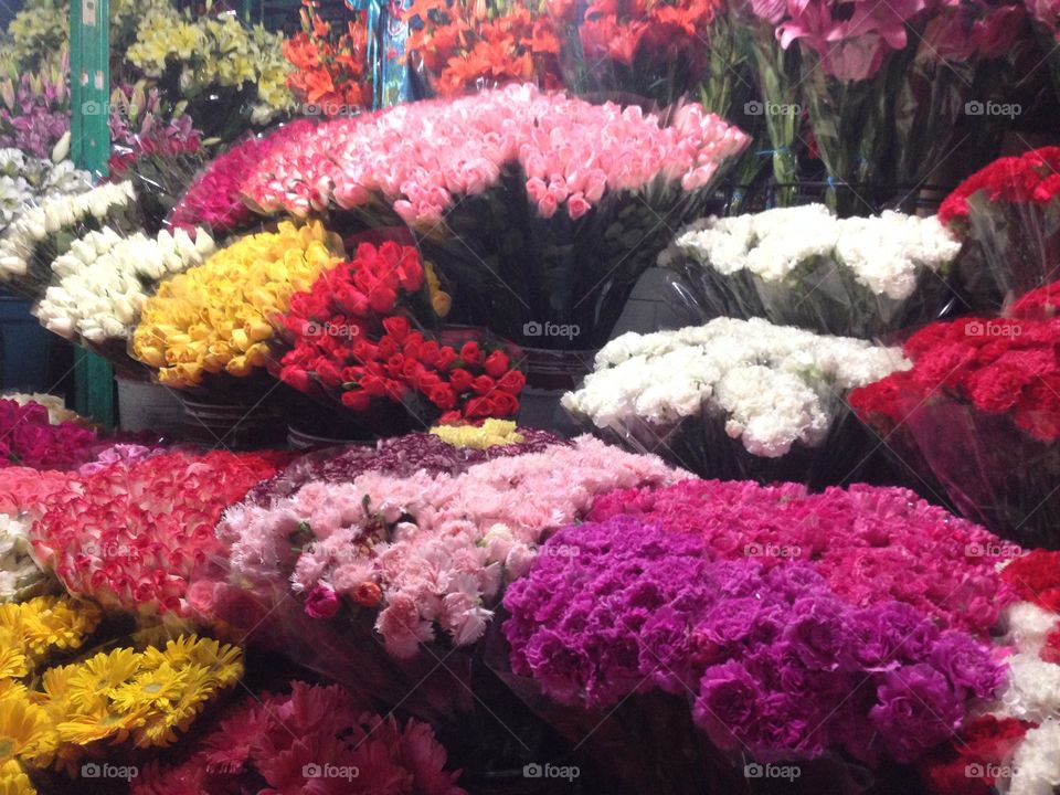 Flowers market in “La Merced” in mexico City, this photo is full of color and pink hues 