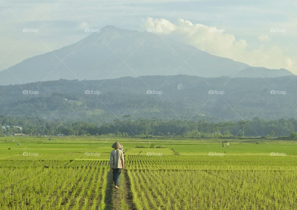 farmer from indonesia
