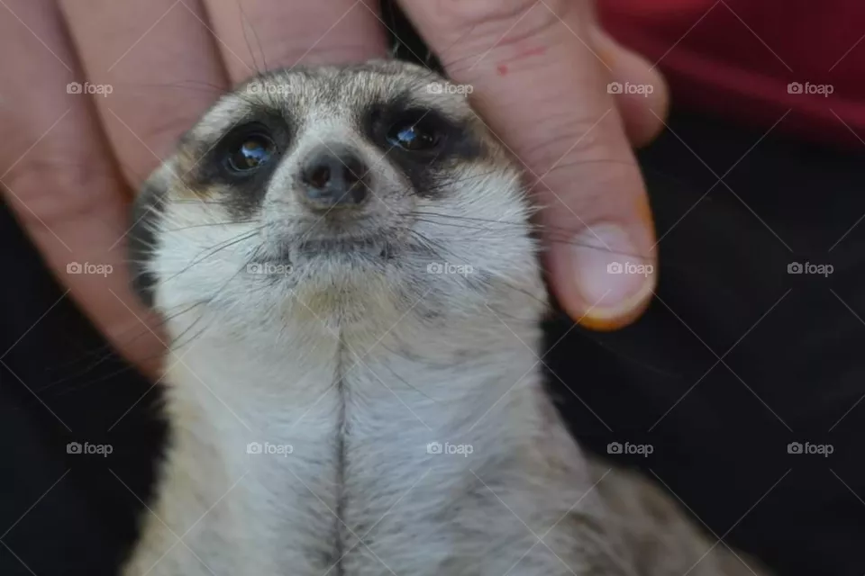 so cute