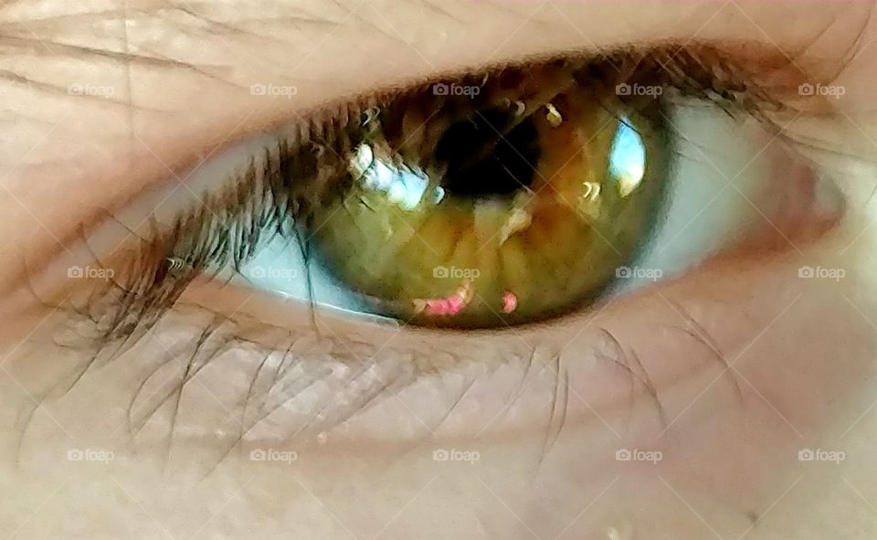 green, brown eye