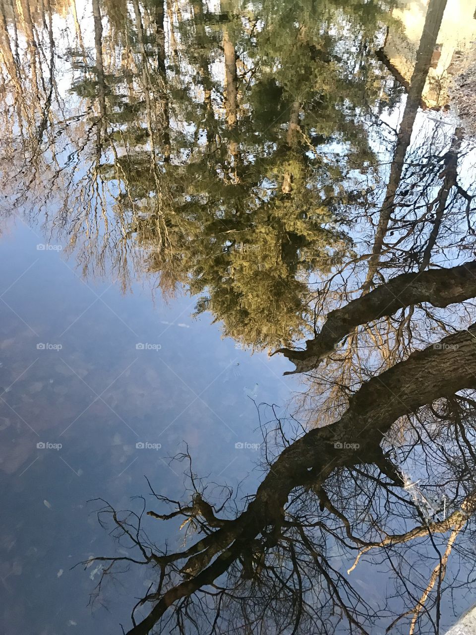 Reflections on the water