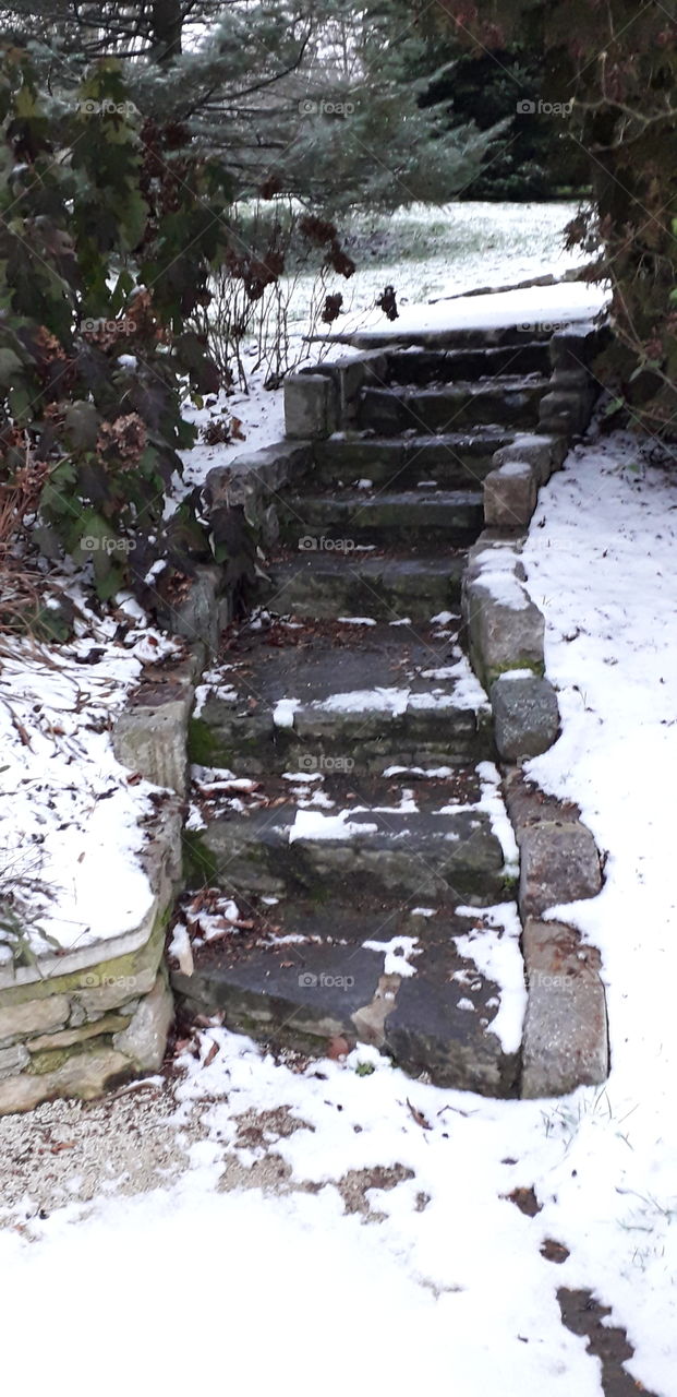 escalier au parc Barbieux