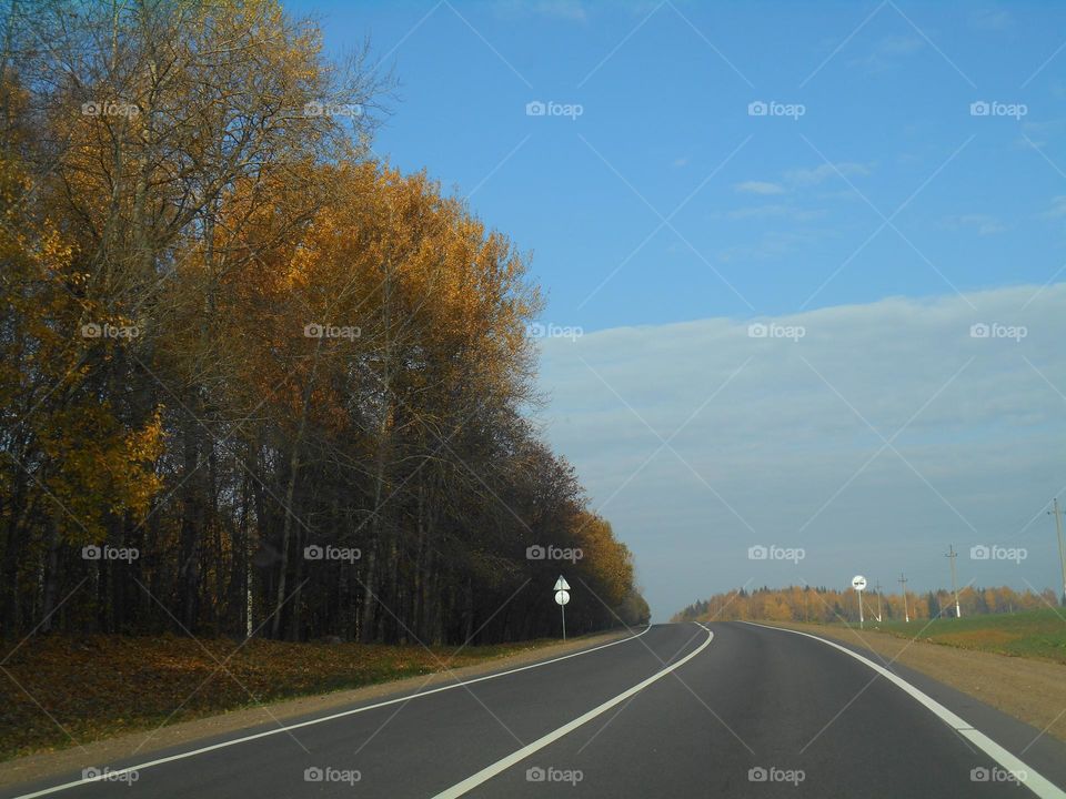 road trip window car view