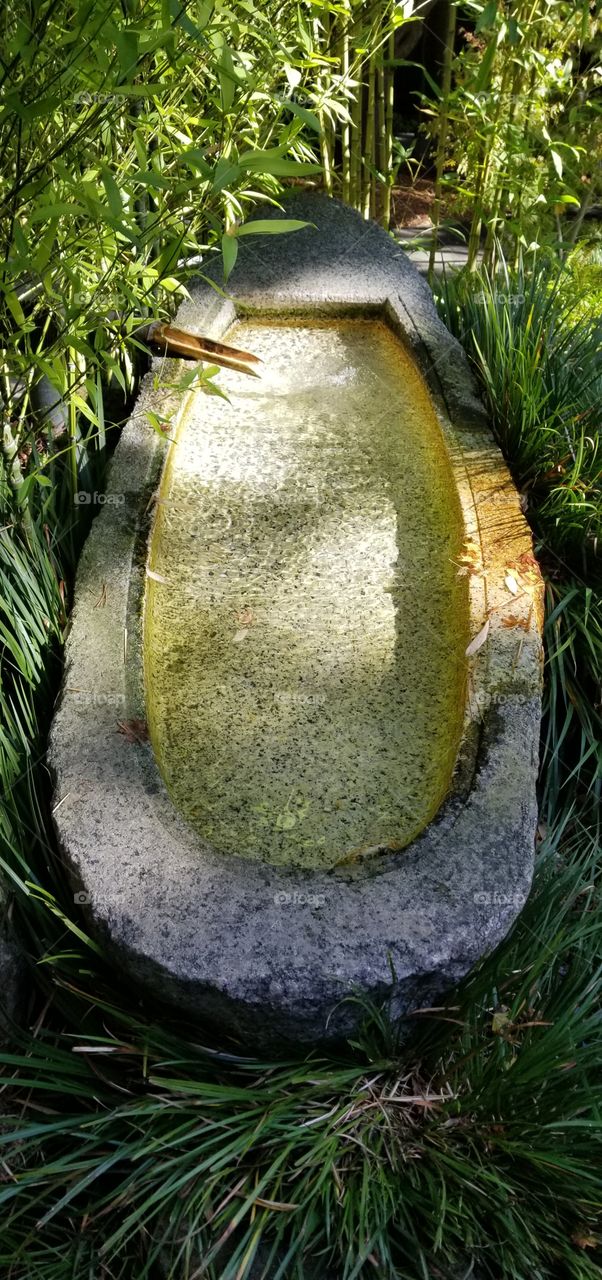 Fountain Zen