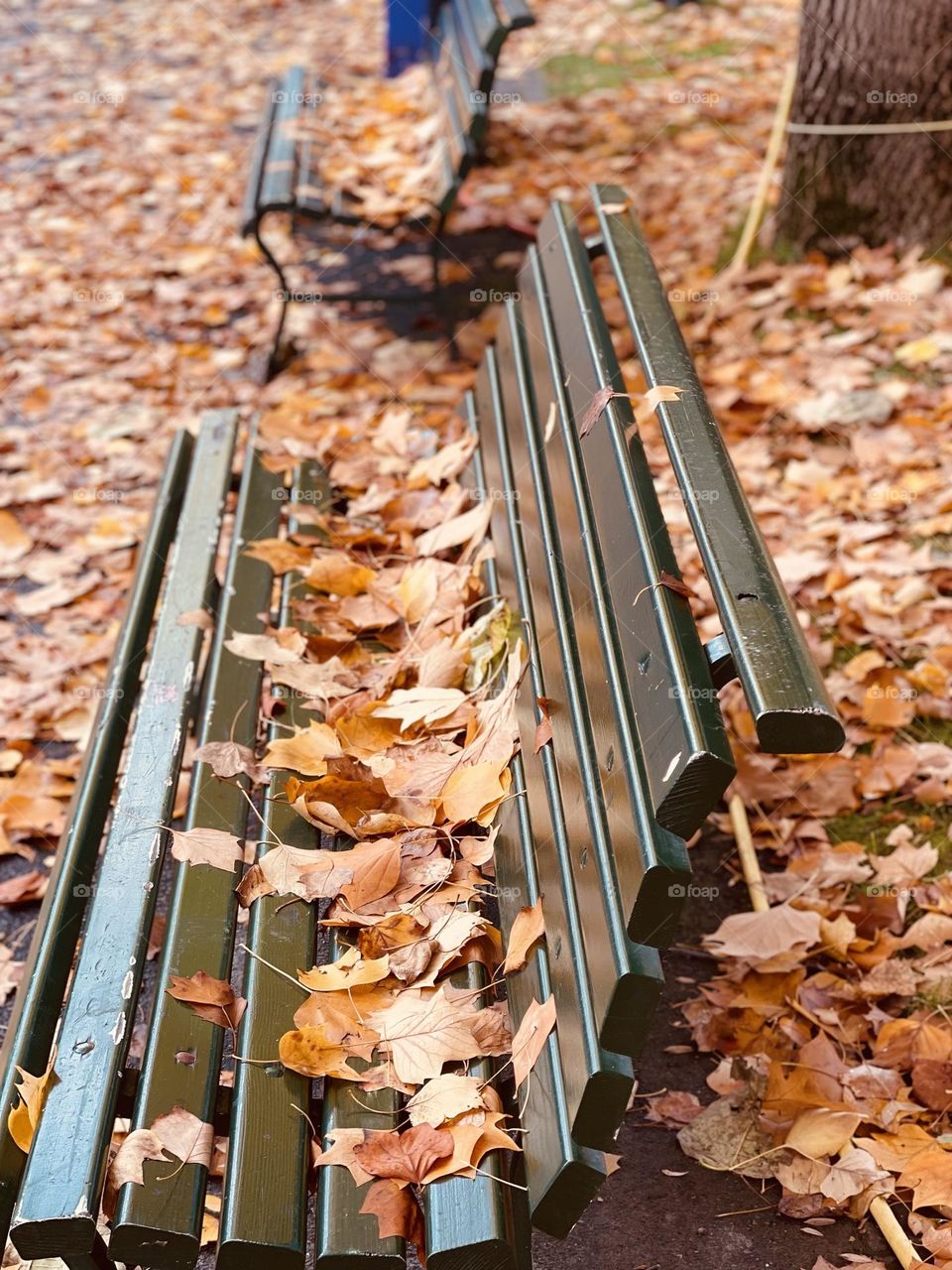 Autumn leaves on a city park bench 