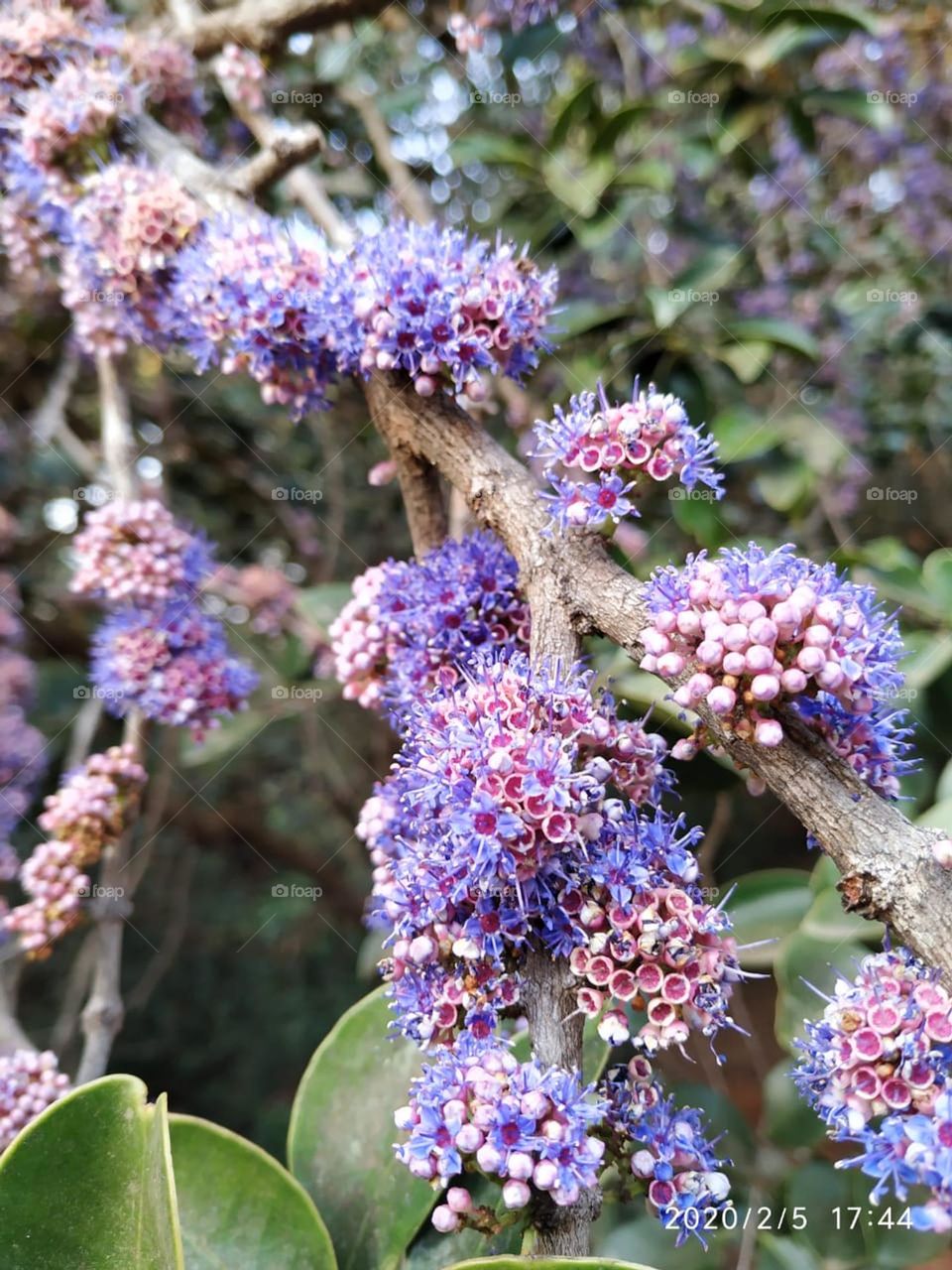 This is spring 🌱🌤