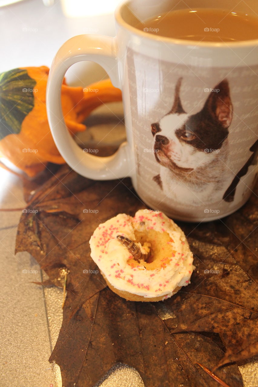Unique picture of tea time.  Cup of tea in my favourite Boston terrier mug. A vanilla cupcake shaped like a donut with vanilla icing. A kingworm in the donut hole on a plate of wet fall leaves. Dogs ate the donut and the dragon loved the iced worm!