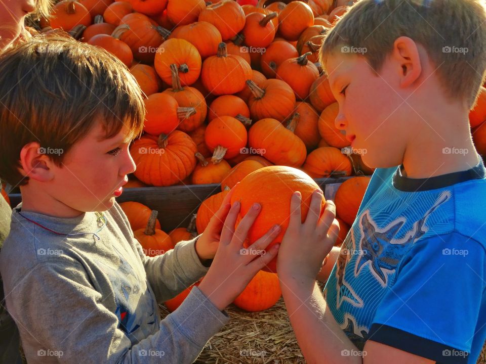 Young Brothers At The Pumpkin Patch