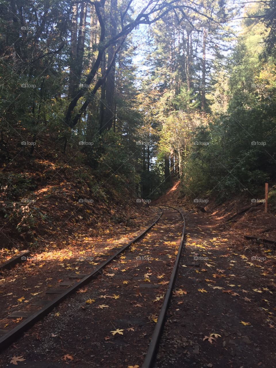 Abandoned train tracks