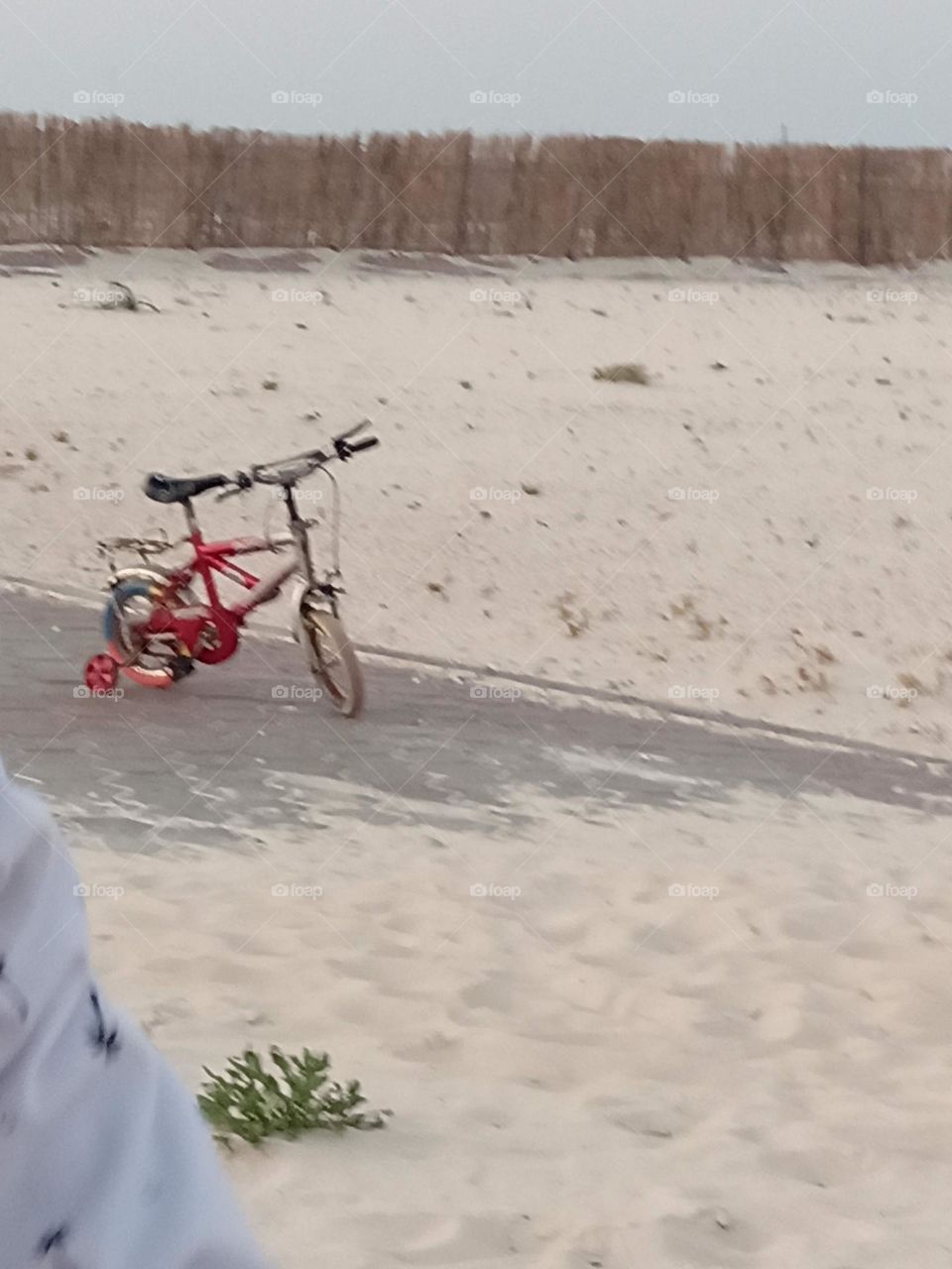 bicycle on the beach