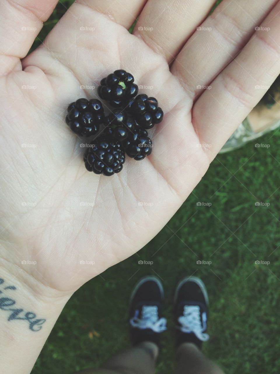 Berry picking!