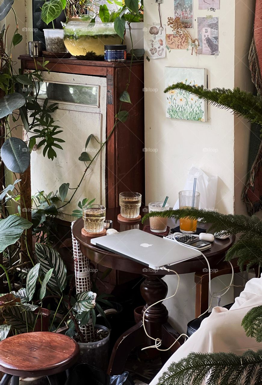 My workplace - my little garden