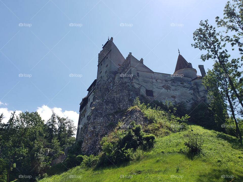 Dracula's castle