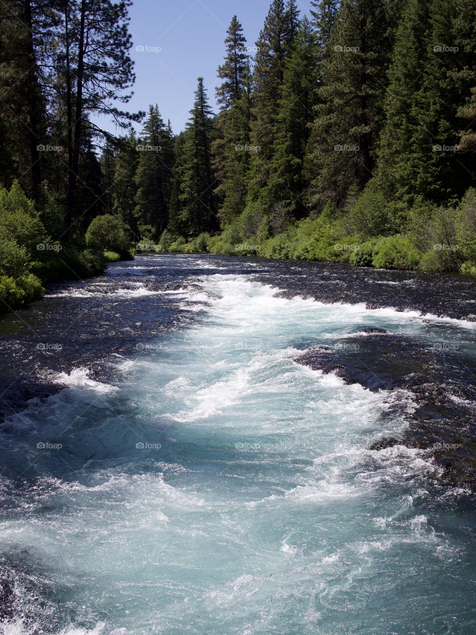 The absolutely stunning turquoise waters of Wizard Falls in the Metolius River on a sunny summer morning in Central Oregon. 