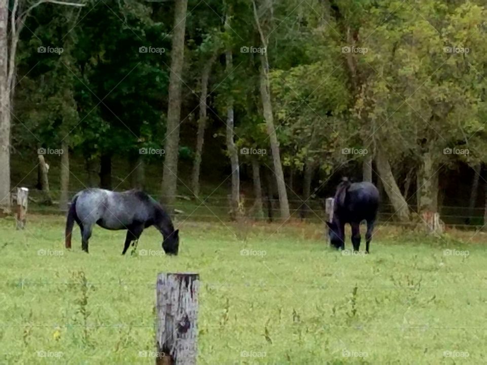 Driving the Back Roads and enjoying everything around us