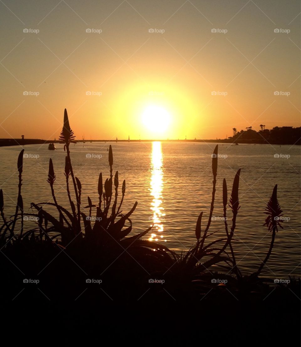 Marina del Rey sunset