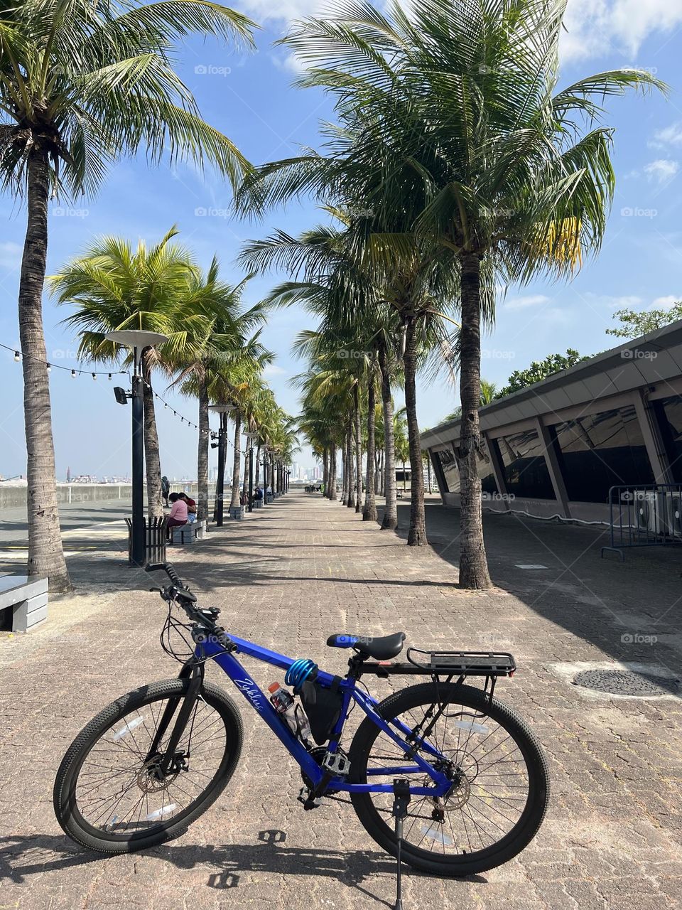 Seaside bicycle ride