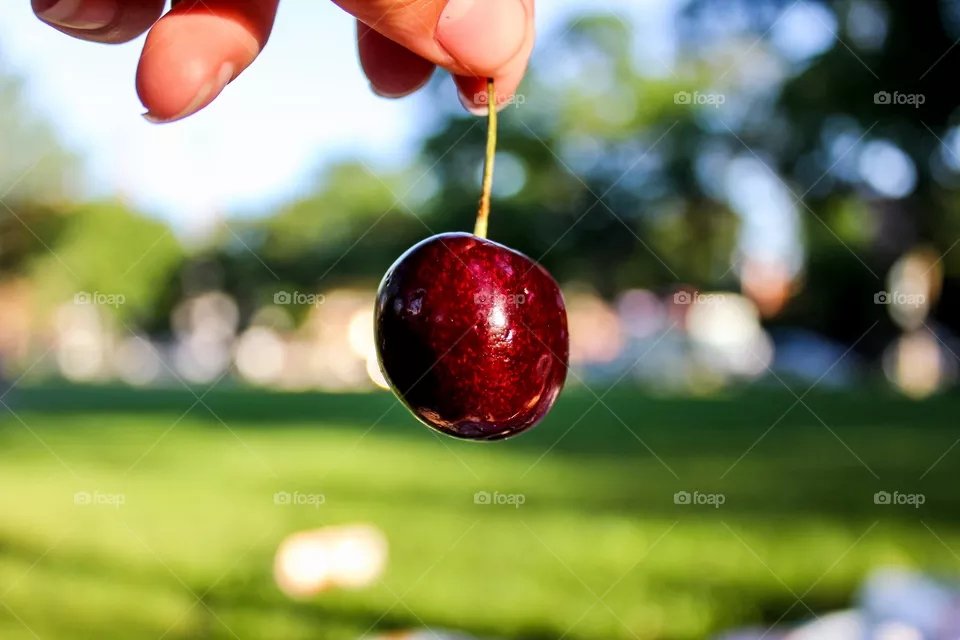 Cherries 