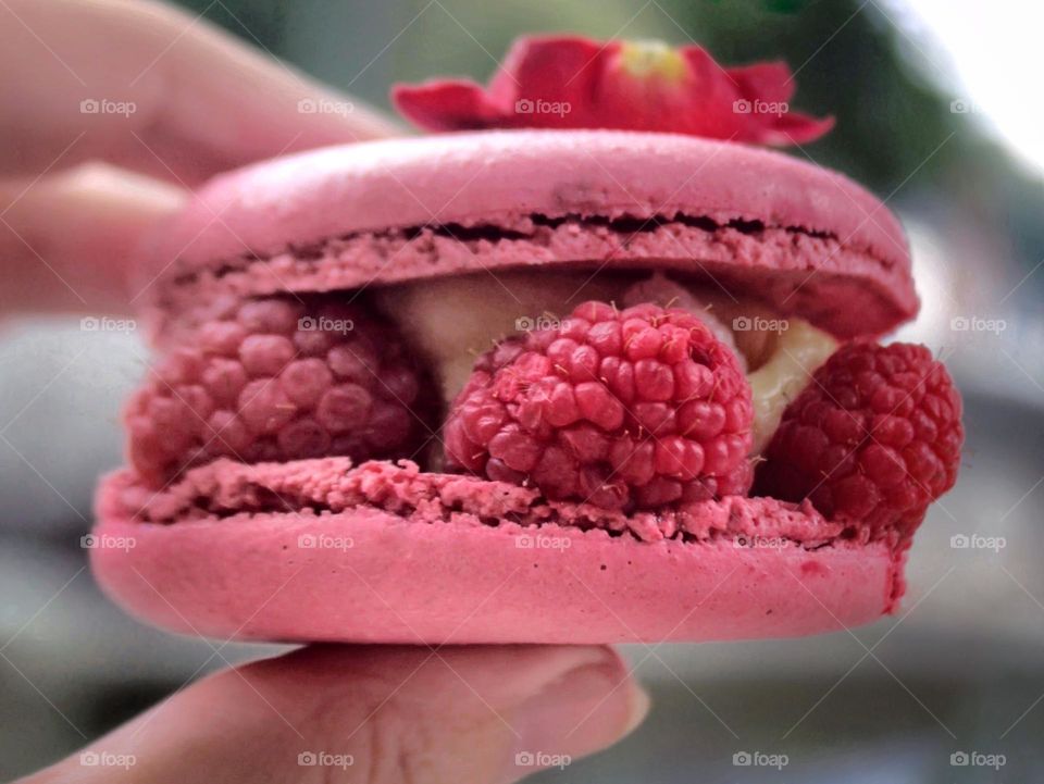 Big raspberry macaroon