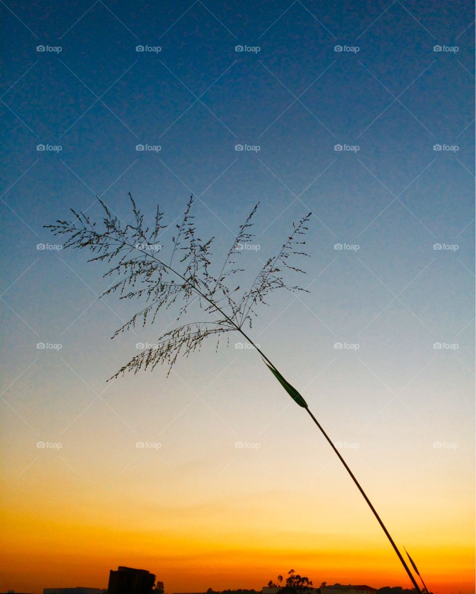 🌅Desperta, #Jundiaí!
Ótimo #sábado a todos. 
🍃
#sol
#sun
#sky
#céu
#photo
#nature
#manhã
#morning
#alvorada
#natureza
#horizonte
#fotografia
#paisagem
#inspiração
#amanhecer
#mobgraphy
#FotografeiEmJundiaí