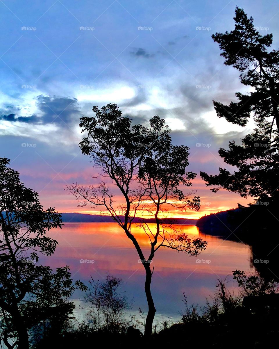 Sky on Fire - Sunrise at Point Caution, San Juan Island 