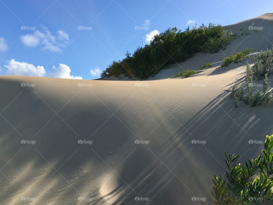 Light flares and shadow play on gold sand dune along South Australia Coast and southern ocean on sunny day, blue sky with clouds copy text space 