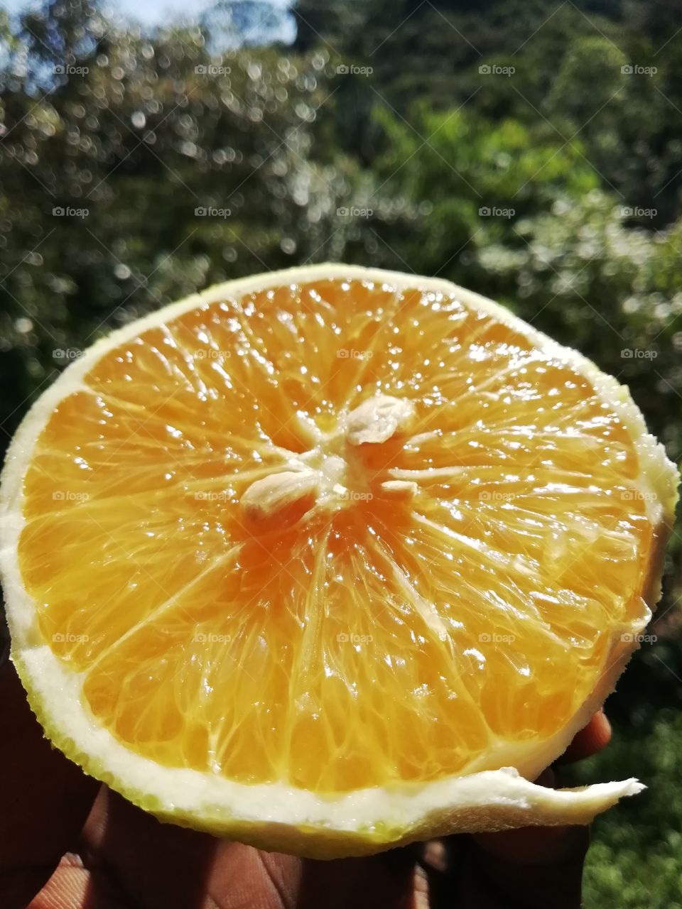 Naranja food