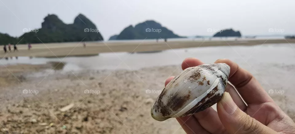 enjoy-sea